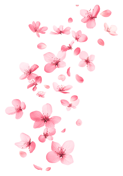 flower-left